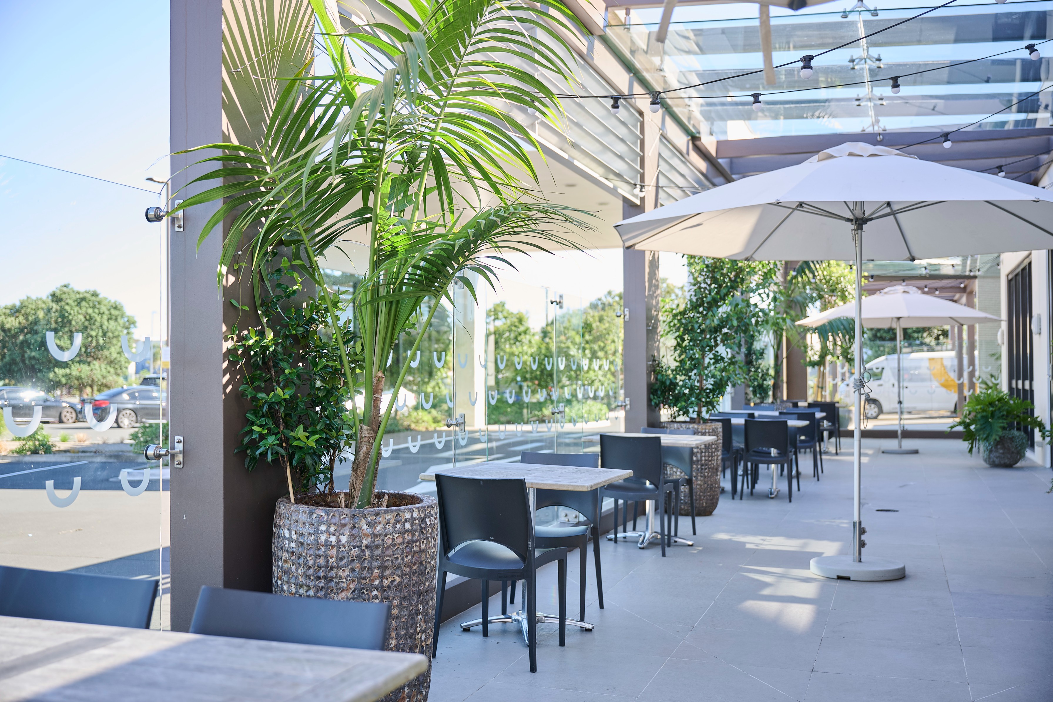 An areca palm in a woven round planter anchors the sunny outdoor dining terrace at Sudima Airport Hotel.