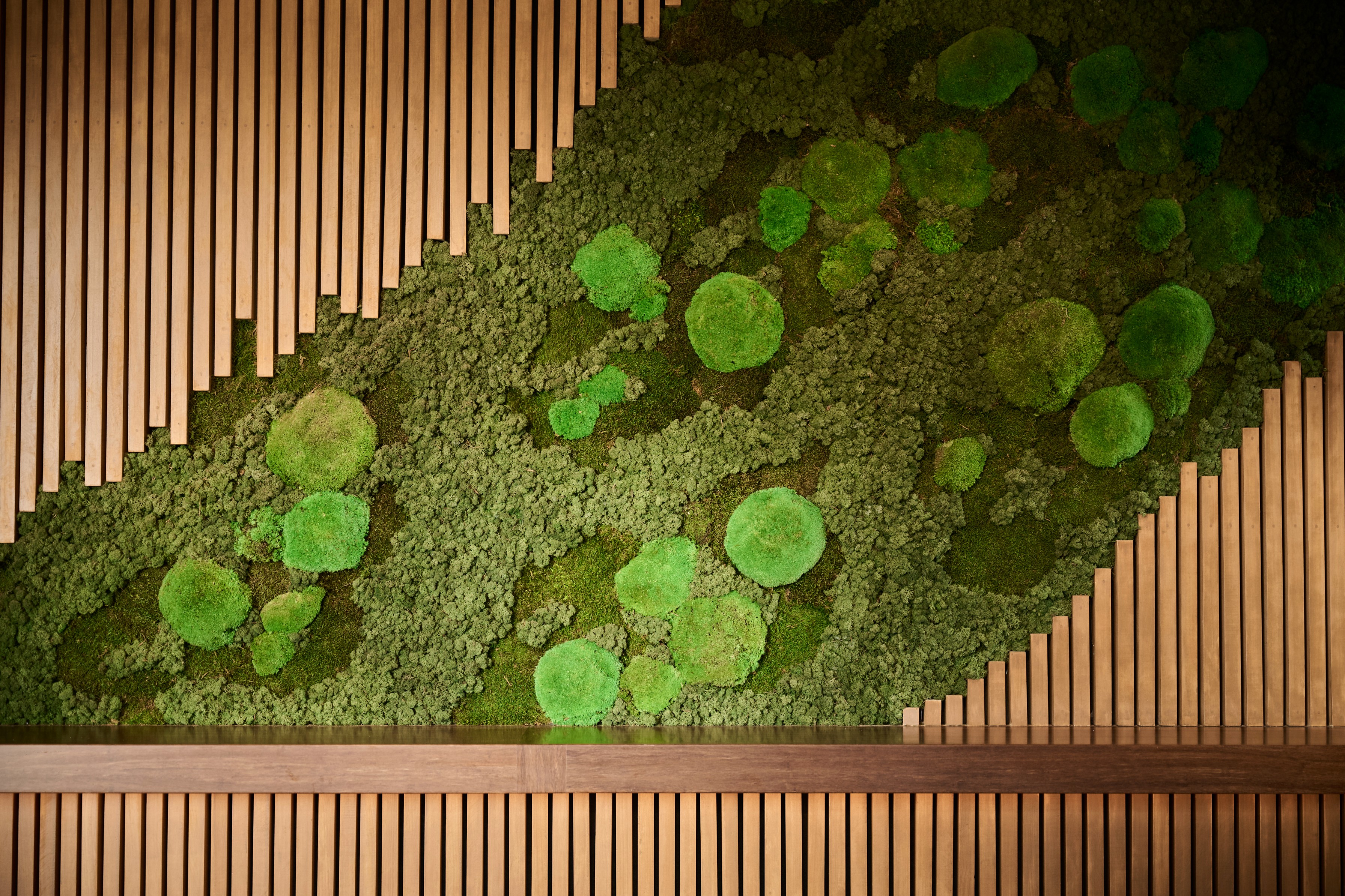 Close-up of the sculptural moss wall, with diagonal timber battens layered against mounds of preserved moss.