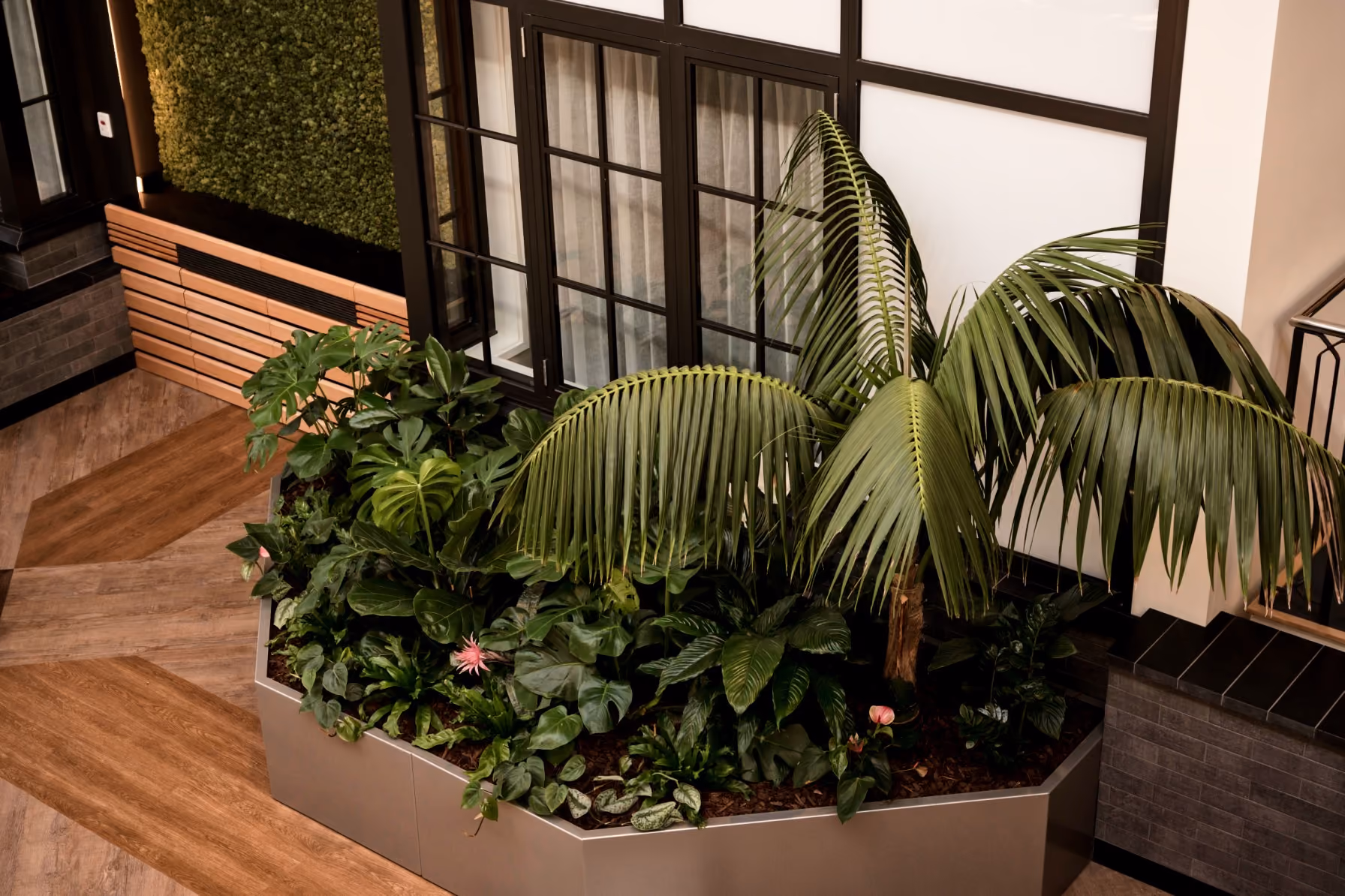 Hexagonal grey planters of bromeliads, calla lilies and ferns arranged as a seating cluster on timber flooring.
