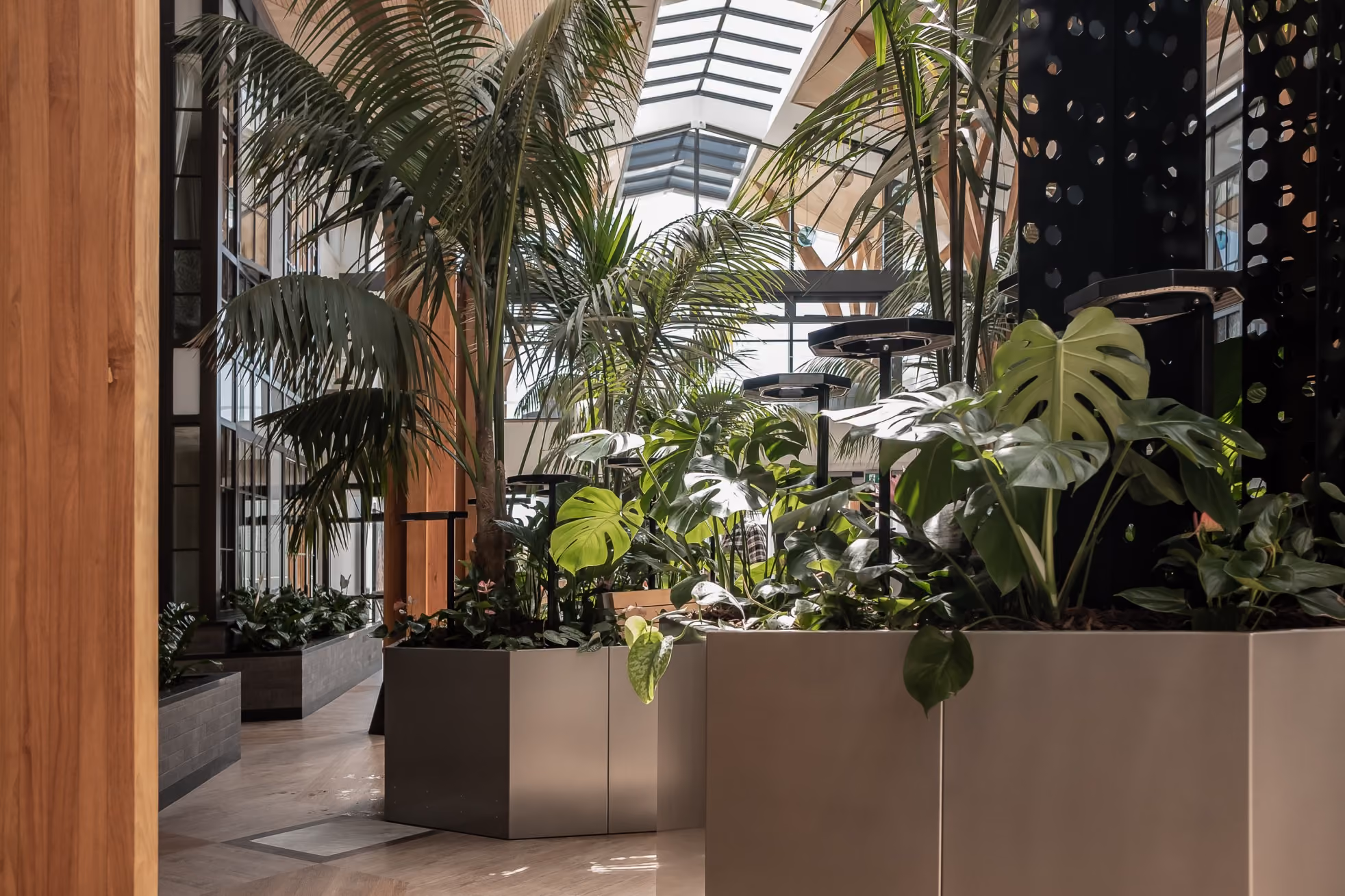 Hexagonal grey planters of bromeliads, calla lilies and ferns arranged as a seating cluster on timber flooring.