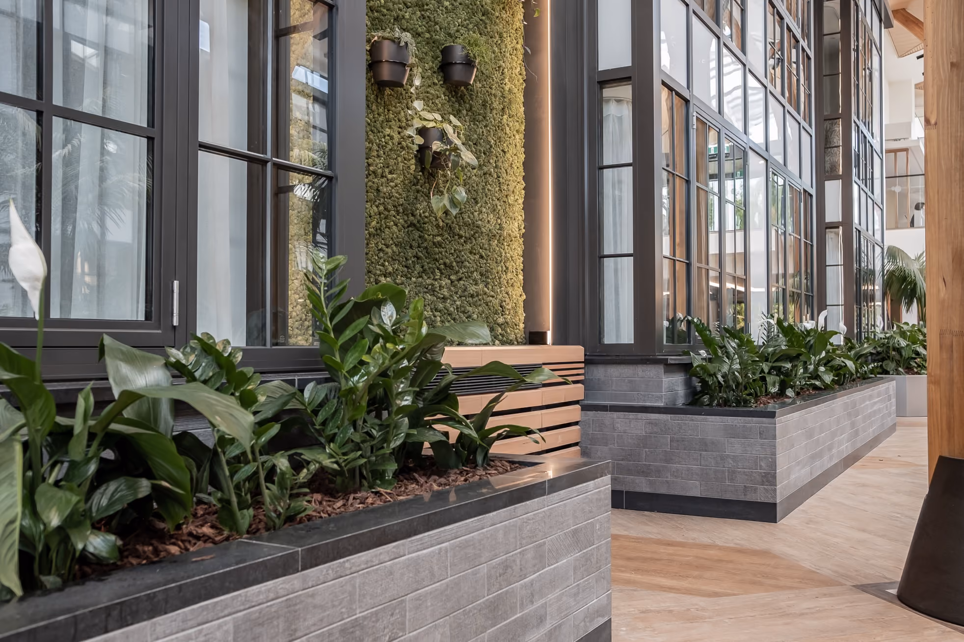 Windows framed by a moss wall pilaster, with peace lily and Zamioculcas planted in stone planters along the base.