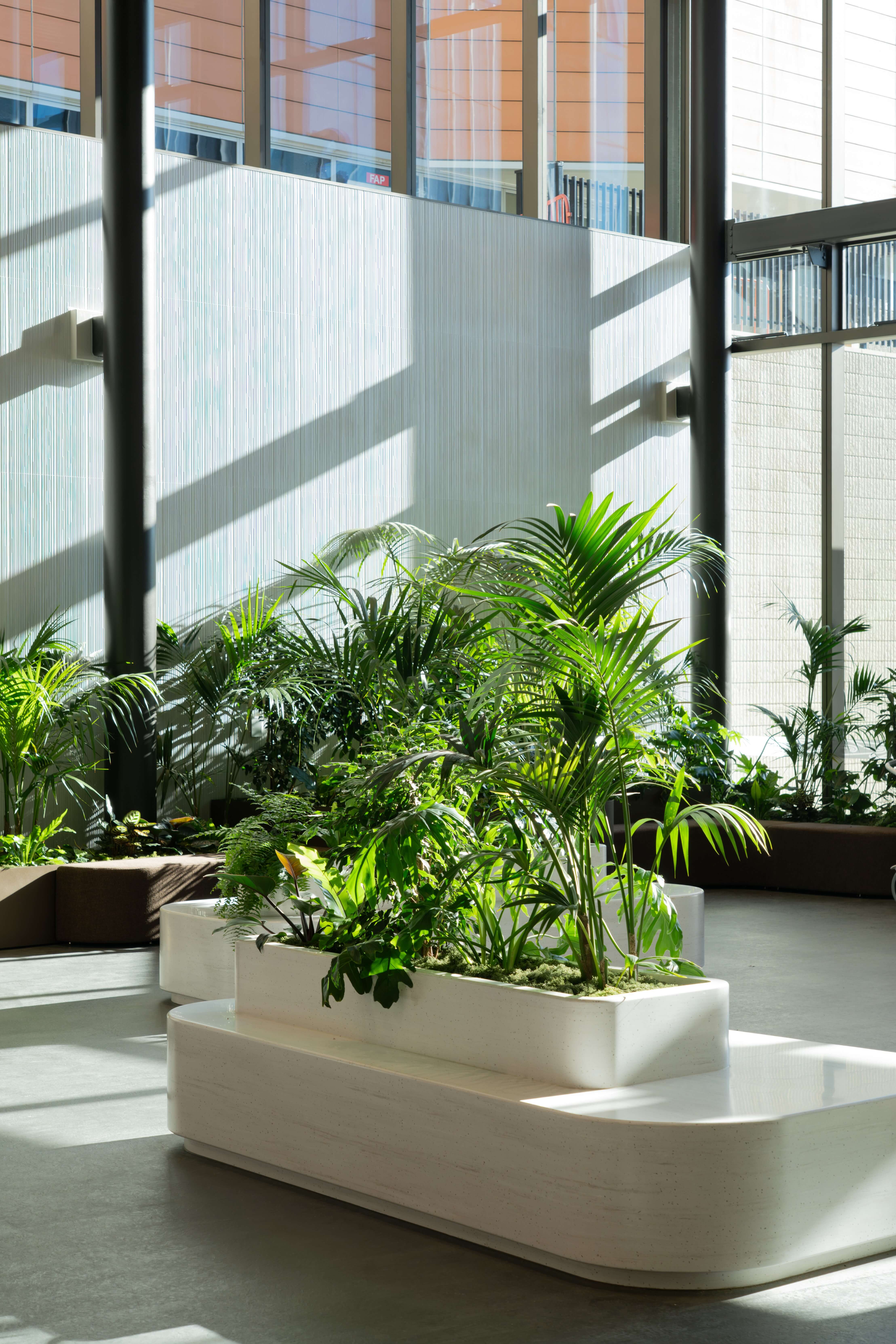 In built planter seat at taranaki hospital