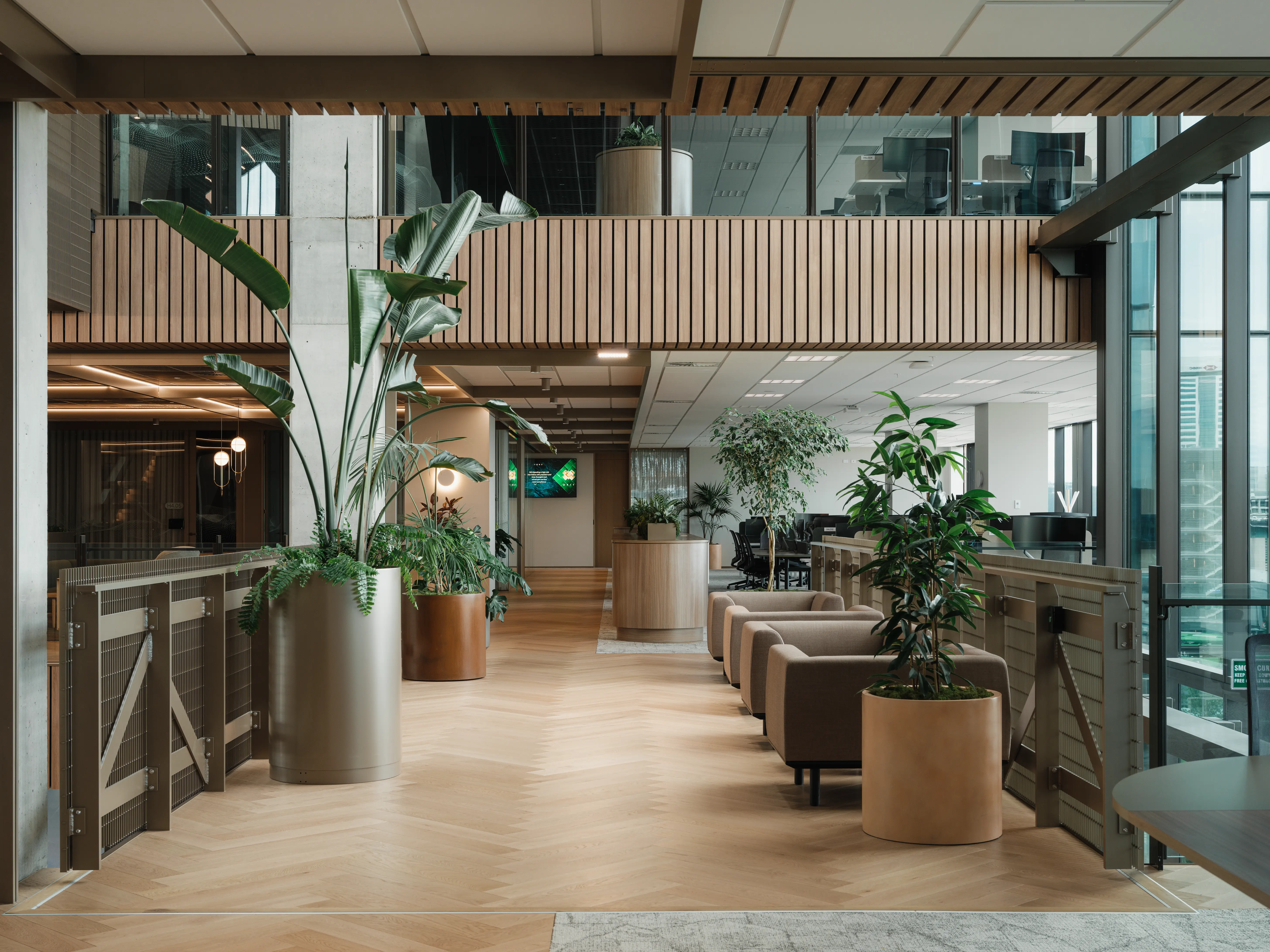 Strelizia in a cylindrical planter on a herringbone timber floor, with woven screen partitions on the mezzanine level beyond.