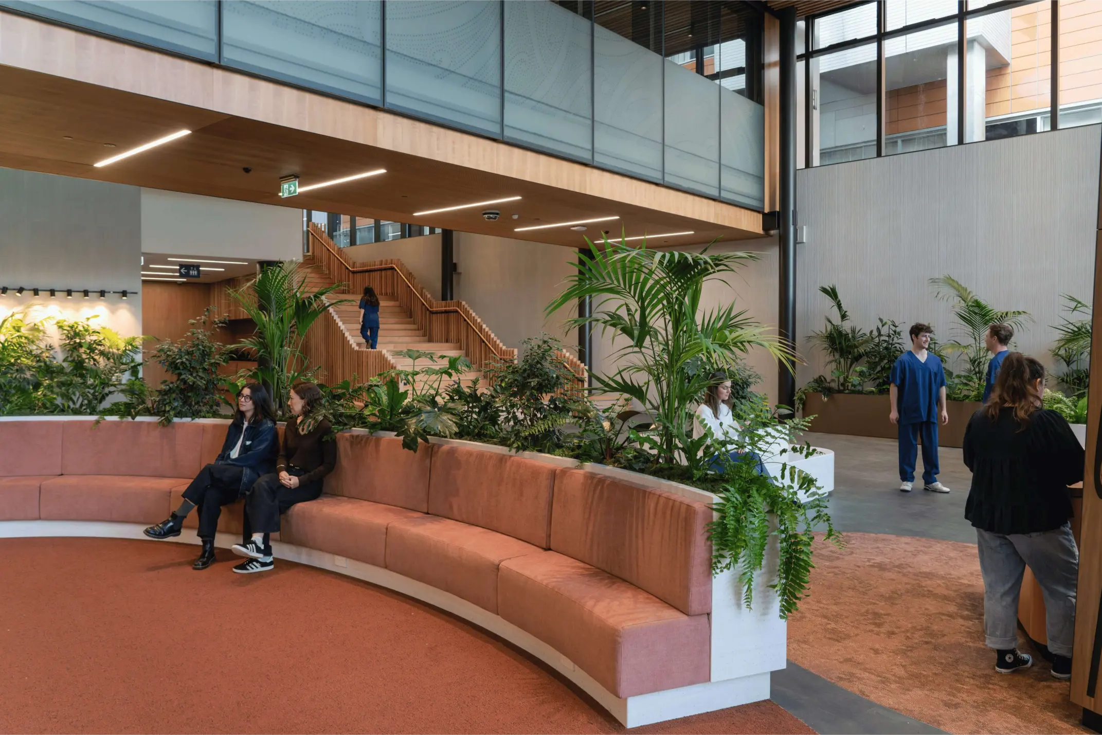 Light-filled hospital foyer with curved seating, layered greenery, and a timber staircase, softening the clinical space with plants