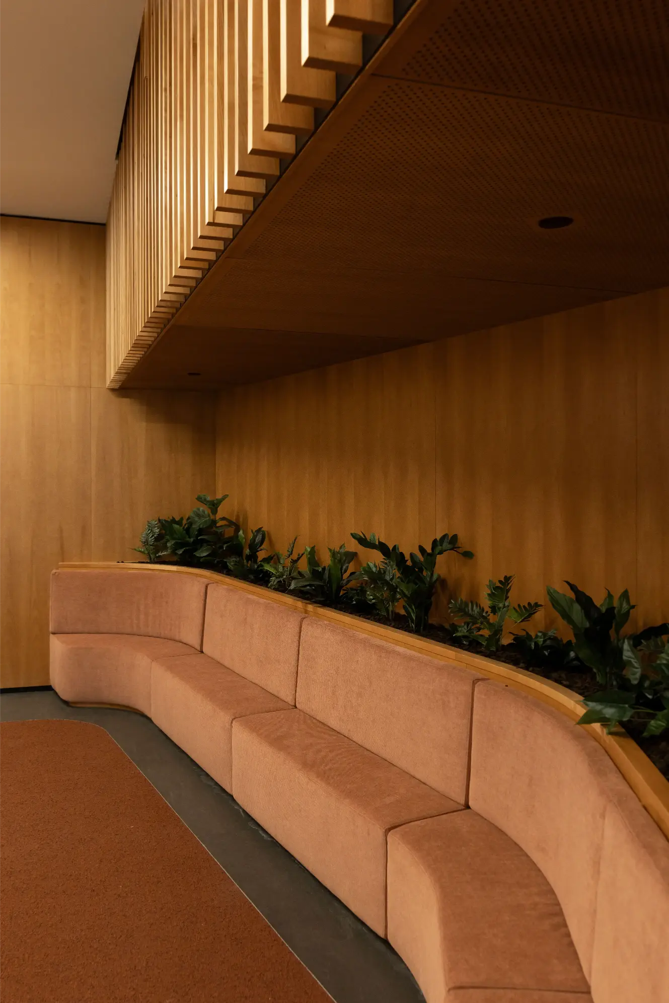 Curved terracotta bench seating beneath a planter of ferns and foliage against timber wall panelling.