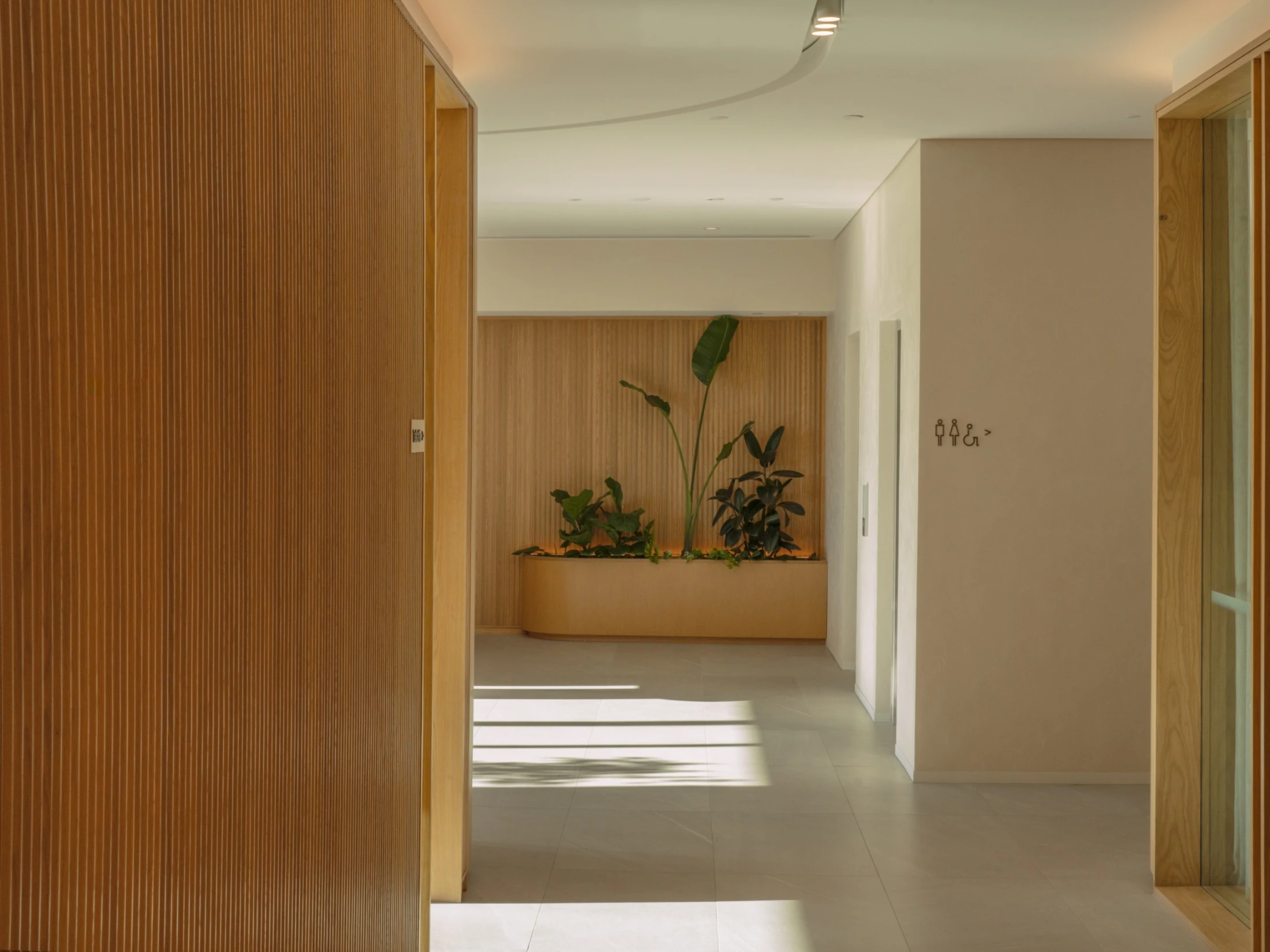 Suspended greenery and sculptural planting soften the refined workplace environment at Buddle Findlay.