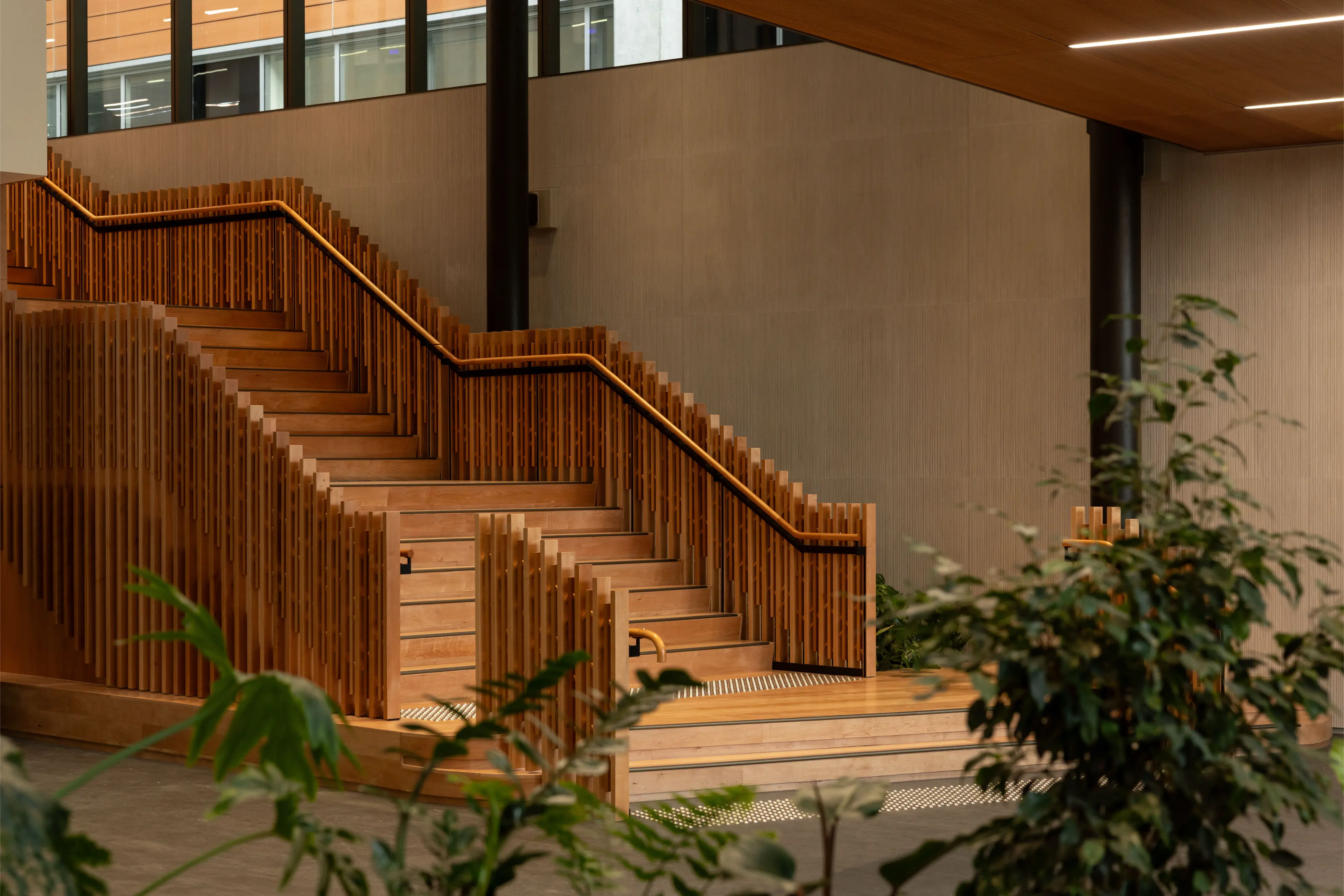 Warm timber feature staircase glimpsed through foreground foliage in the hospital atrium