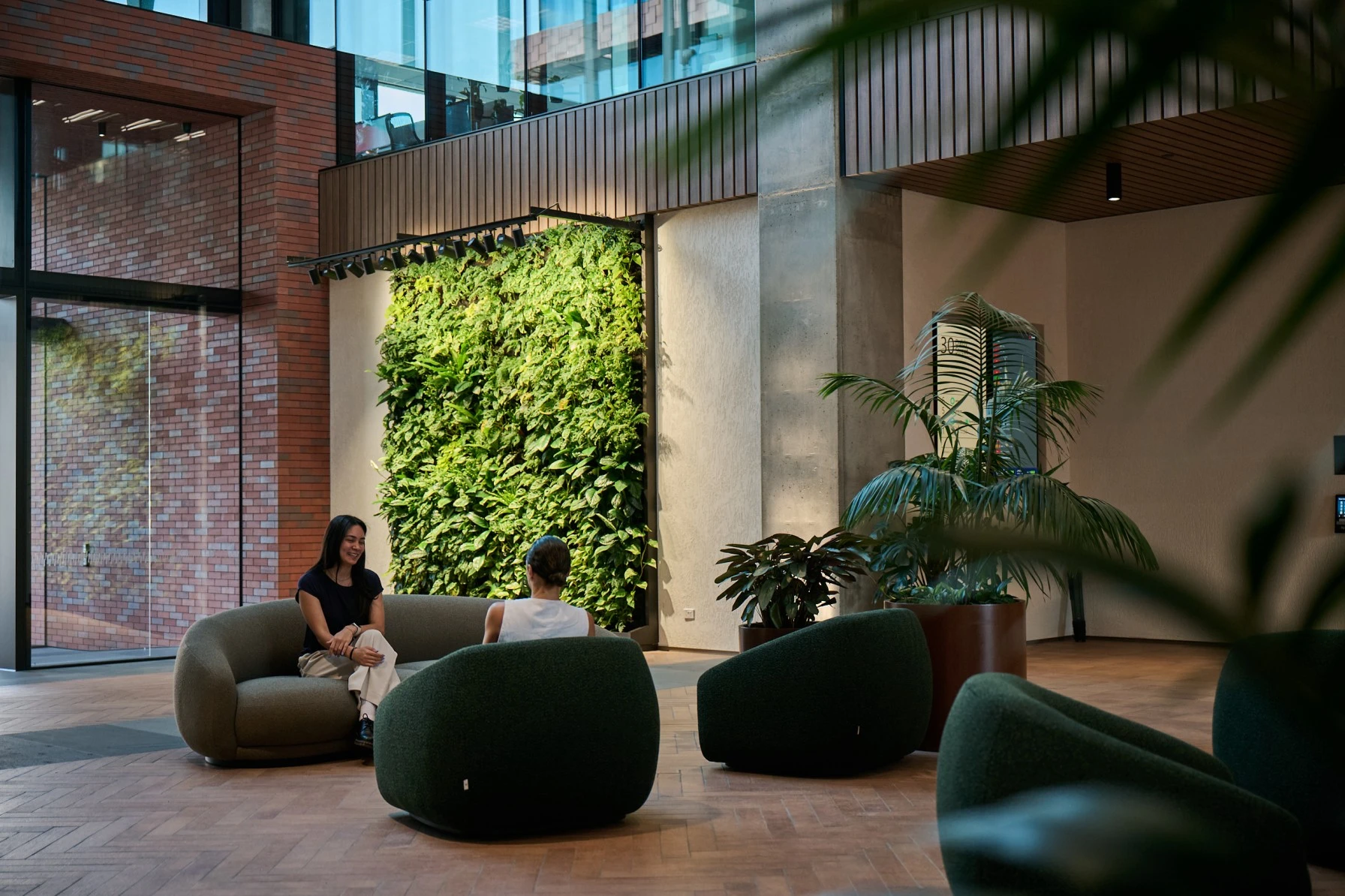 Integrated greenery throughout 30 Daldy Street creates a more welcoming, wellness-focused workplace experience.