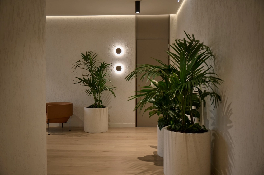 Kentia palms in white planters flanking a corridor with warm wall lighting and a tan armchair.