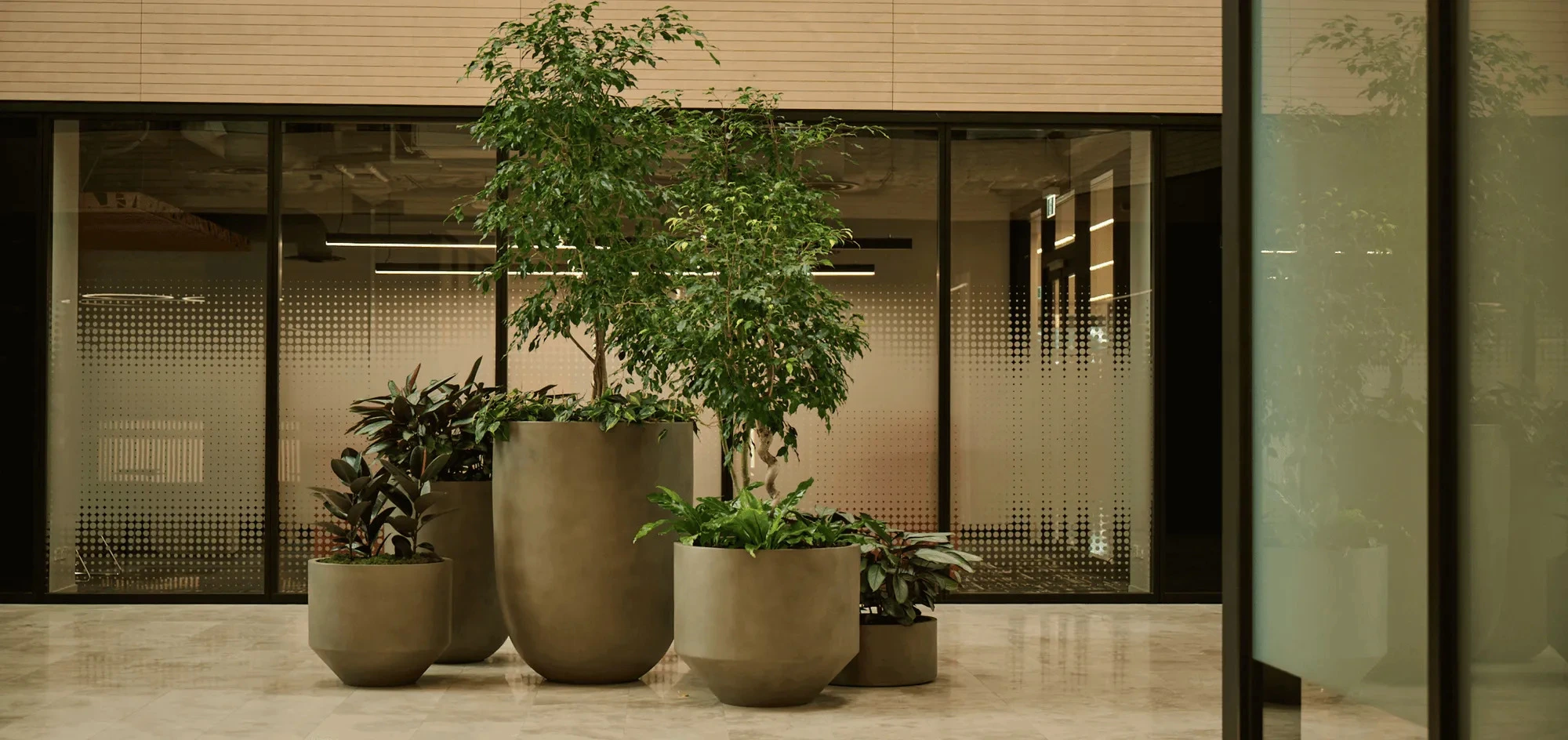 Large-format planters anchor the central atrium at 33 Broadway, creating a welcoming, green heart within the workplace.