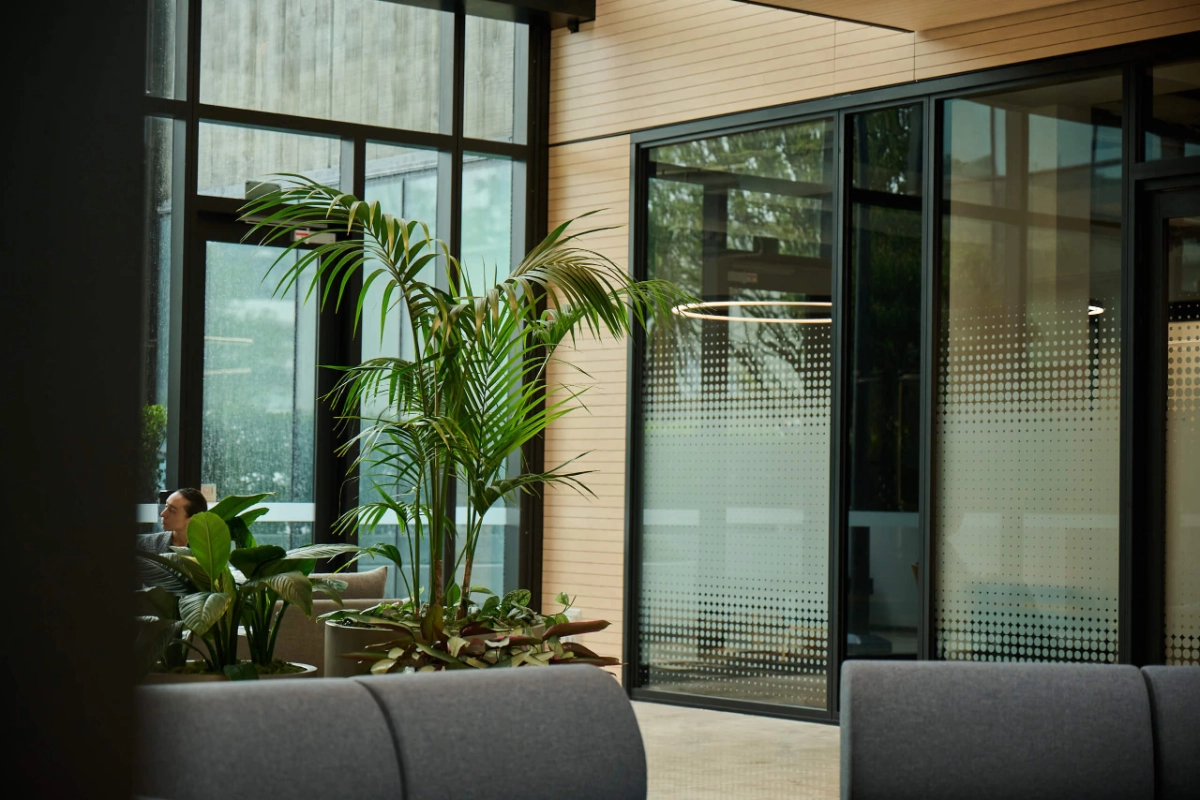A Kentia palm in a taupe planter beside frosted glass offices, seen past grey lounge seating.