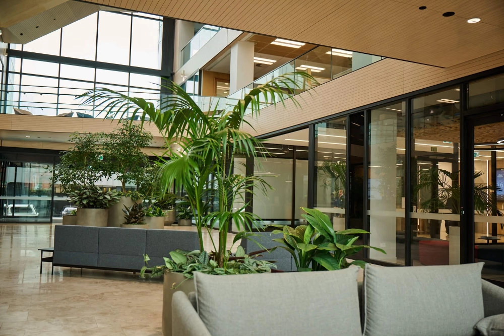 Kentia palm and tropical planting behind grey lounge seating in the timber-lined atrium.