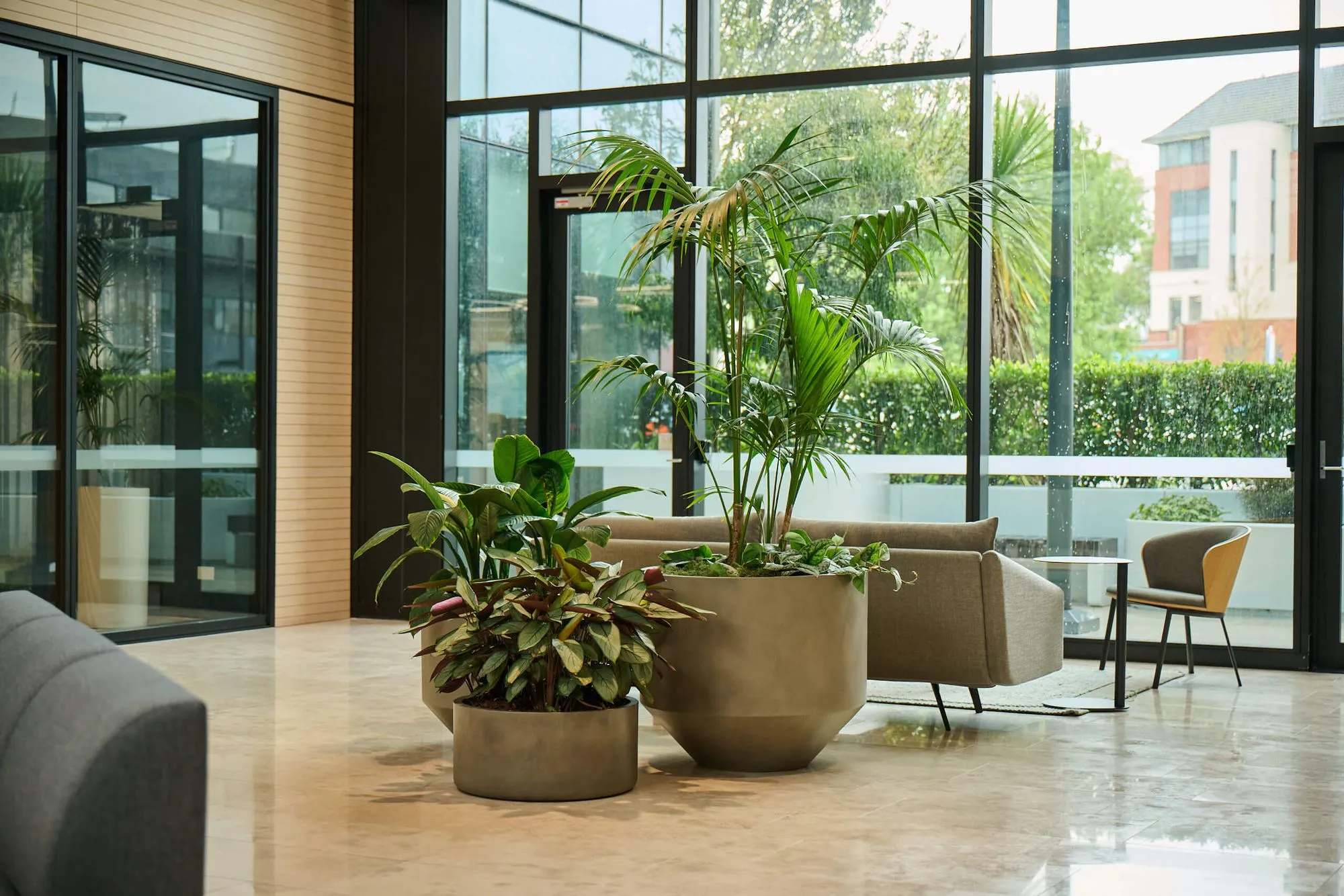 Kentia palm and calathea in taupe planters beside lounge seating in the glazed winter garden.