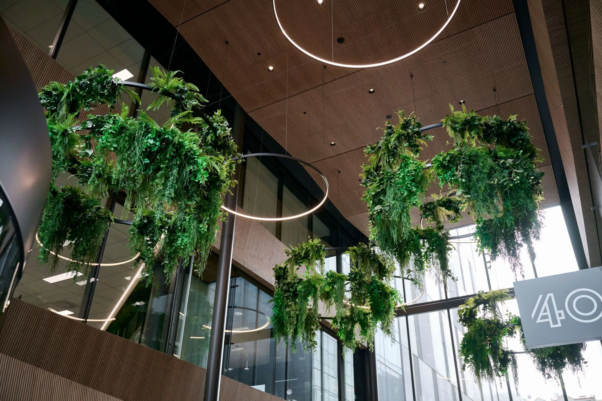 From custom plant chandeliers to a bespoke moss wall, the atrium at 44 Bowen Street brings immersive and inspiring nature inside.