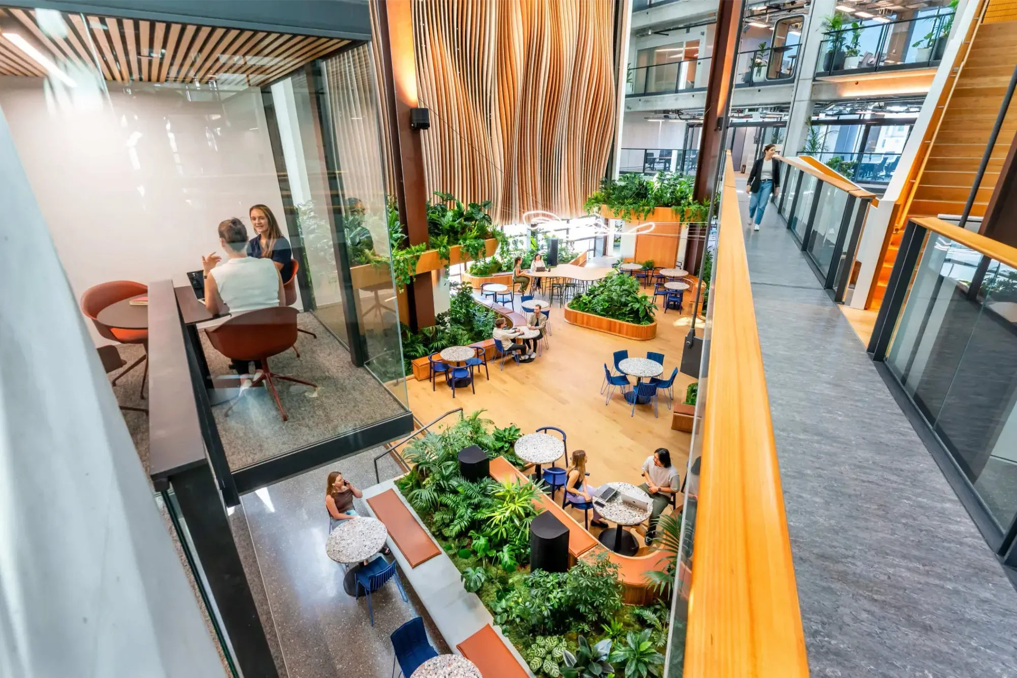 Curved timber planters of tropical greenery around café seating in the multi-level B:HIVE+ atrium at AIA Smales Farm.