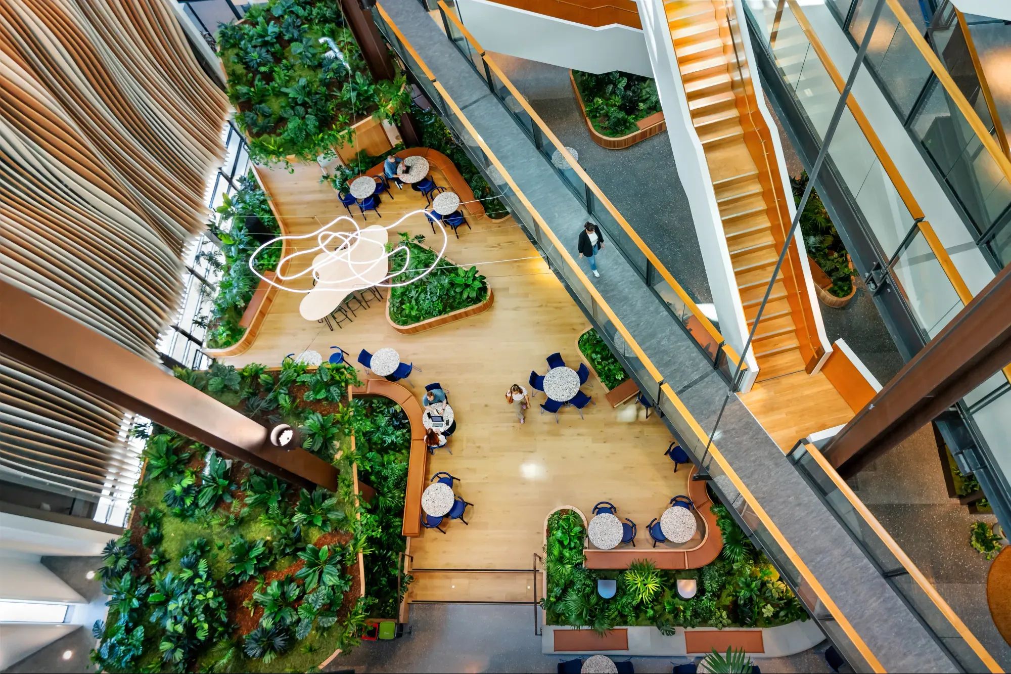 Overhead view of curved timber planter benches and seating across the B:HIVE+ atrium floor.