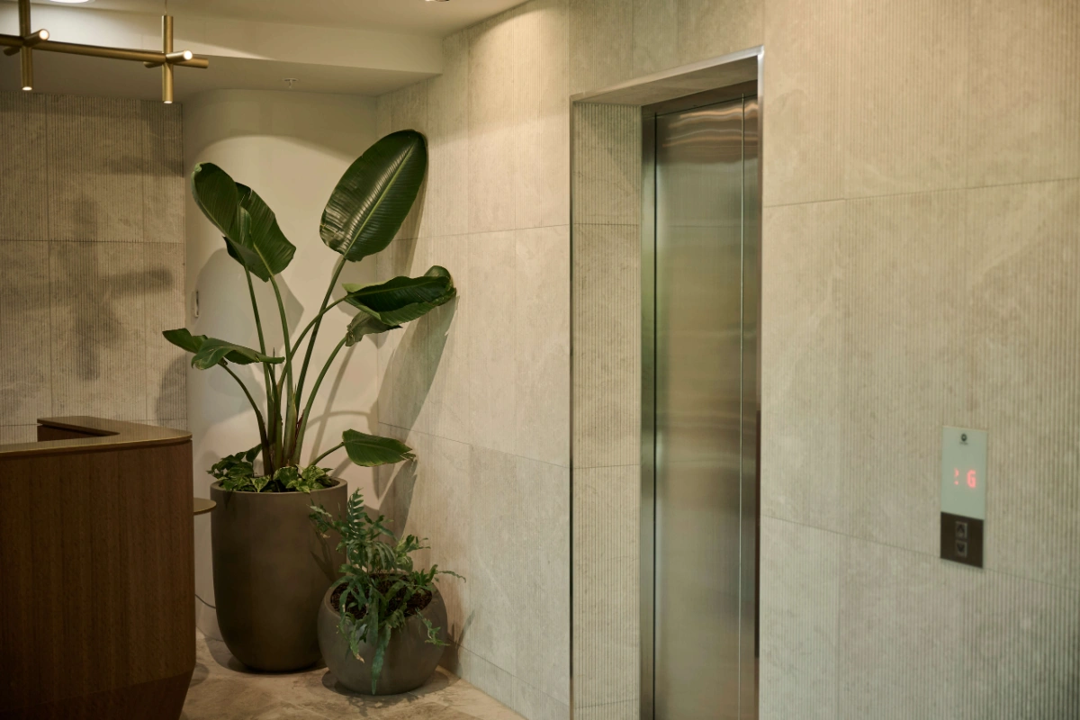 Strelitzia and fern in planters beside the lift doors in a stone-tiled lobby.