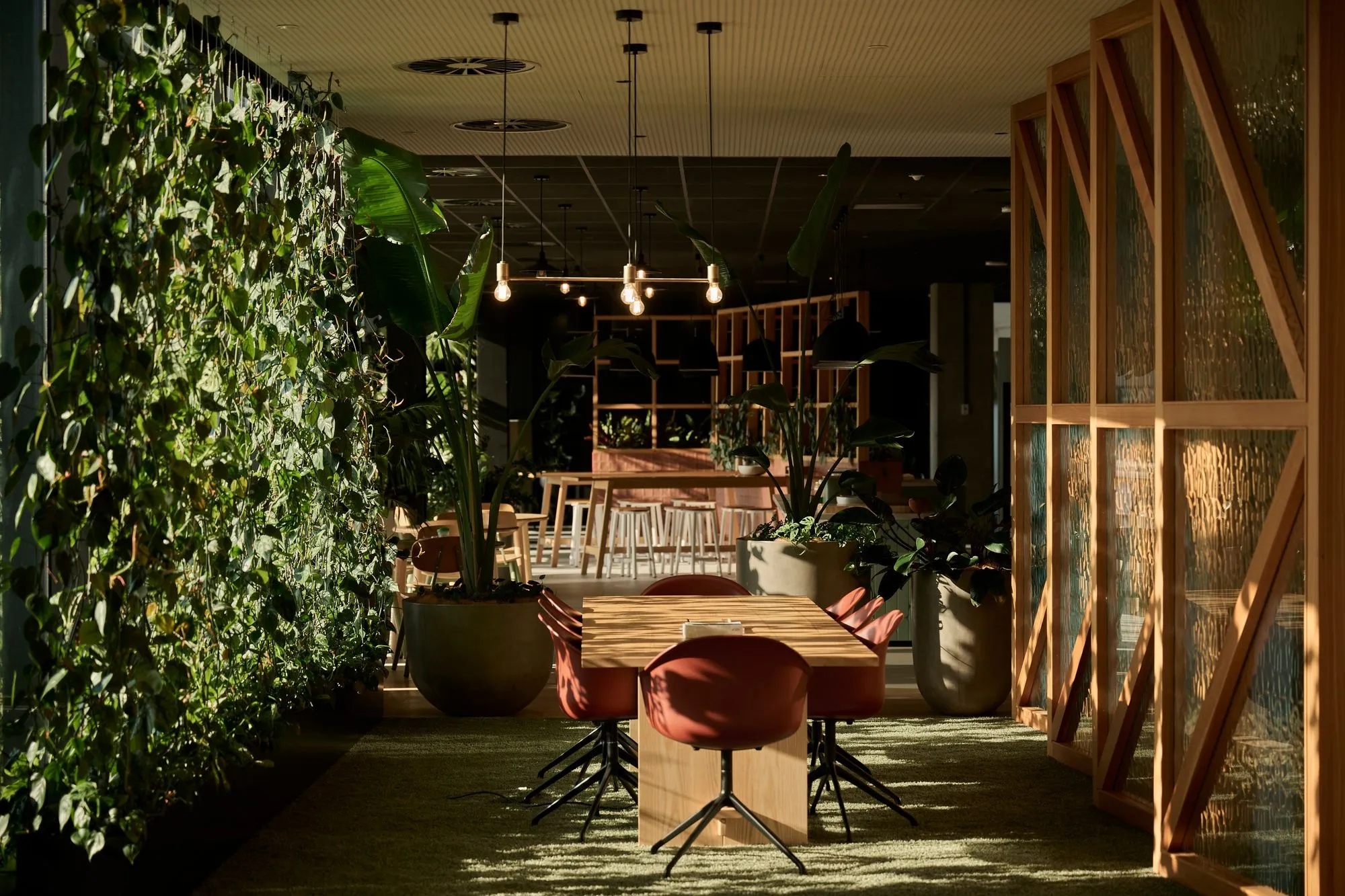 Greenery design for Aurecon's workplace, Te Tihi, helps bring the project's strong cultural narrative to life.