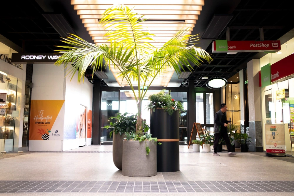 A Kentia palm and tropical foliage in black cylindrical planters at a mall junction.