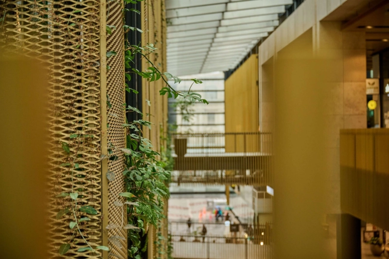 Greenery climbing a gold mesh screen above the Commercial Bay atrium