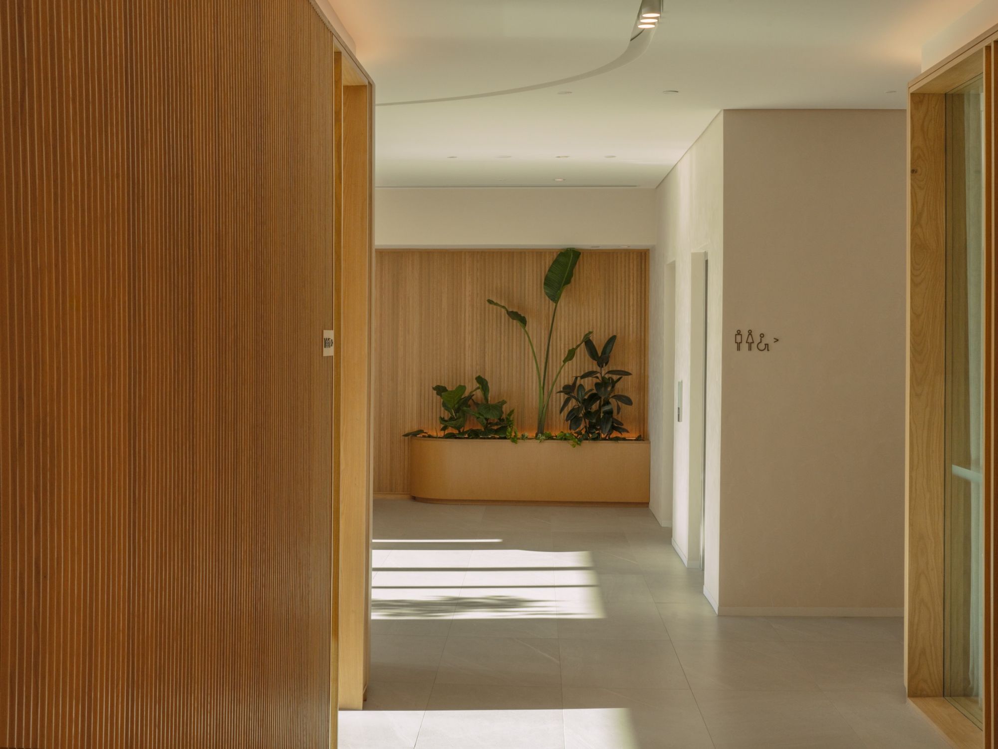 Buddle Findlay office corridor framed by timber panels, leading to a planter of tropical indoor plants