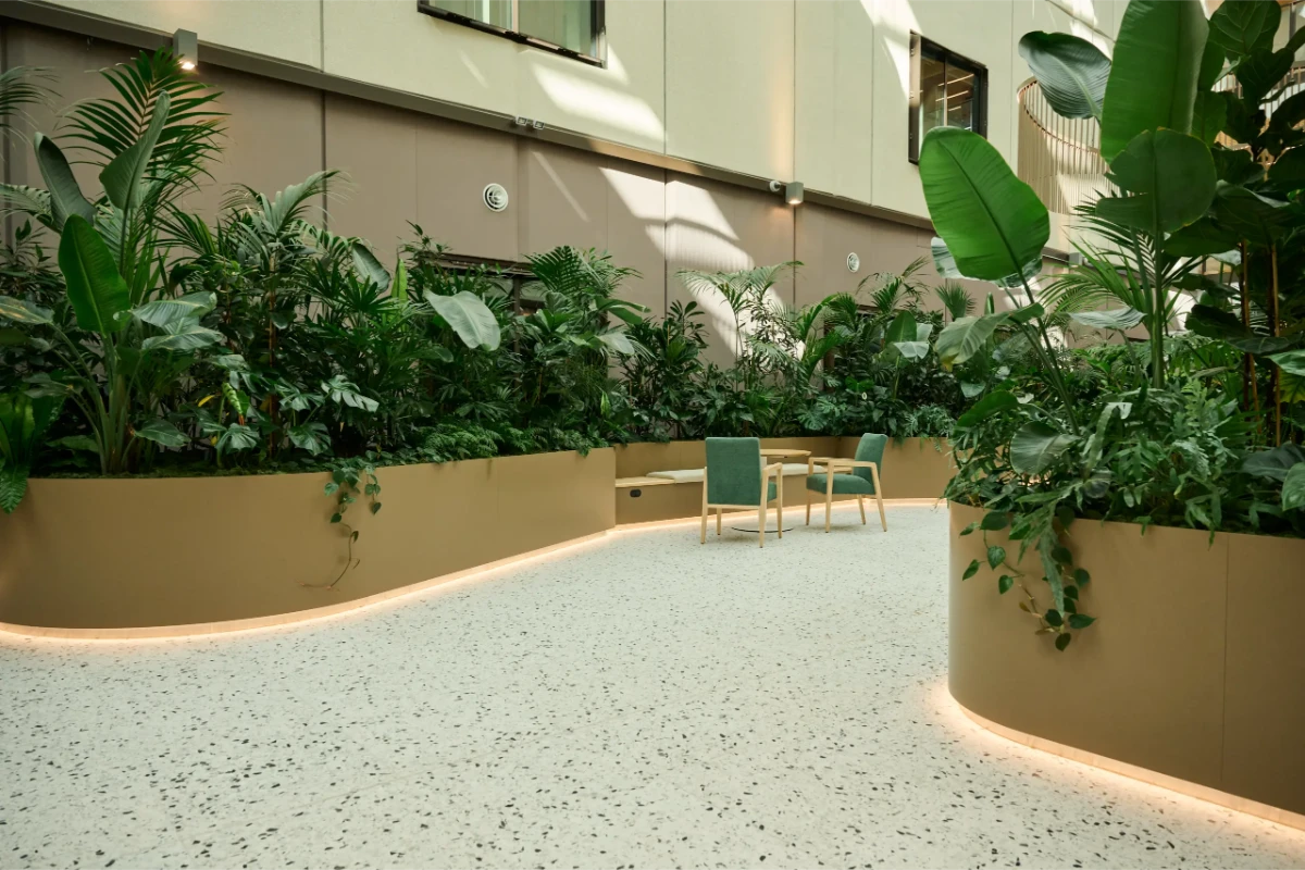 Bird of paradise and layered foliage in curved planters around a seating area in the Healing Garden