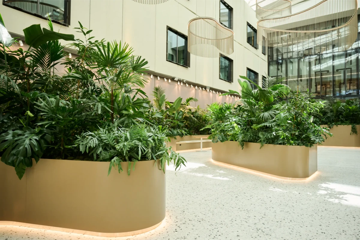 Tropical planting in curved planters beneath the hospital atrium windows of the Healing Garden