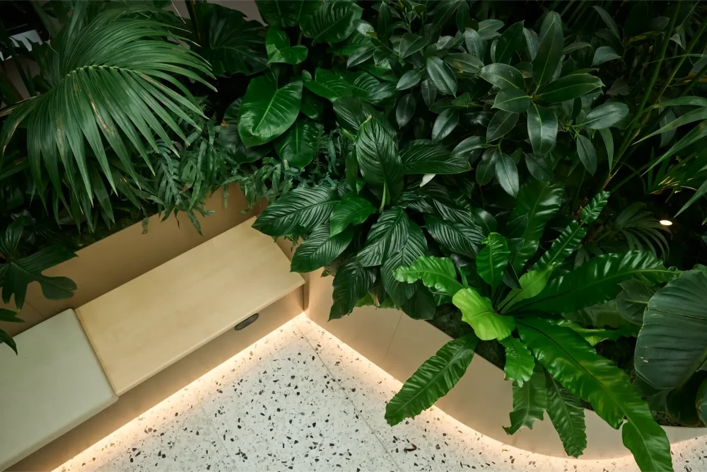 Close view of lush tropical foliage above a lit planter edge and bench in the Healing Garden