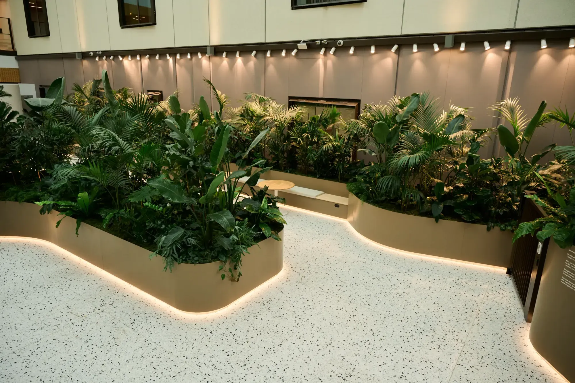Curved illuminated planters of palms and tropical plants lining the terrazzo path in the Healing Garden