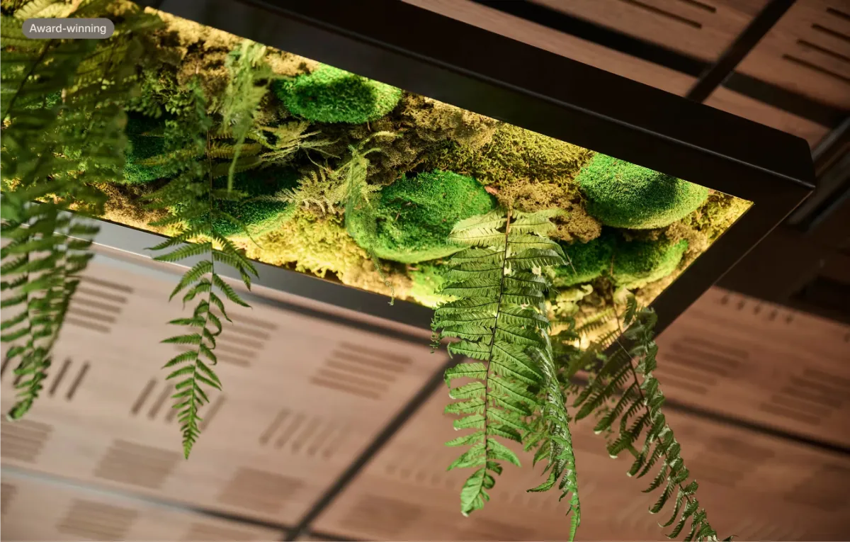 Suspended moss ceiling panel with LED lighting and trailing ferns at Home NZ