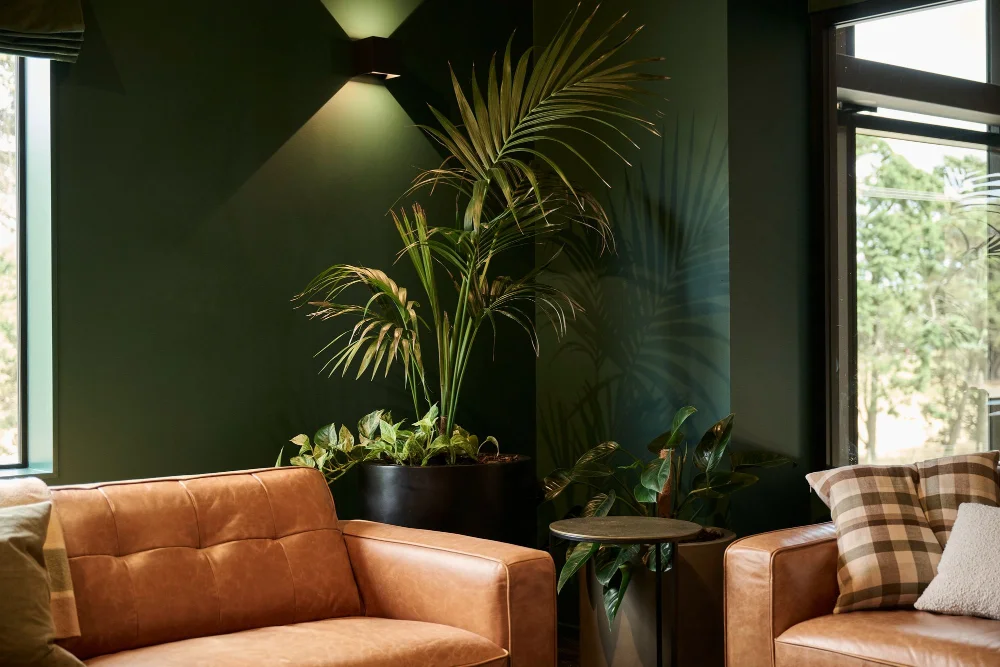 Kentia palm and pothos beside tan leather sofas against a dark green wall at Home NZ