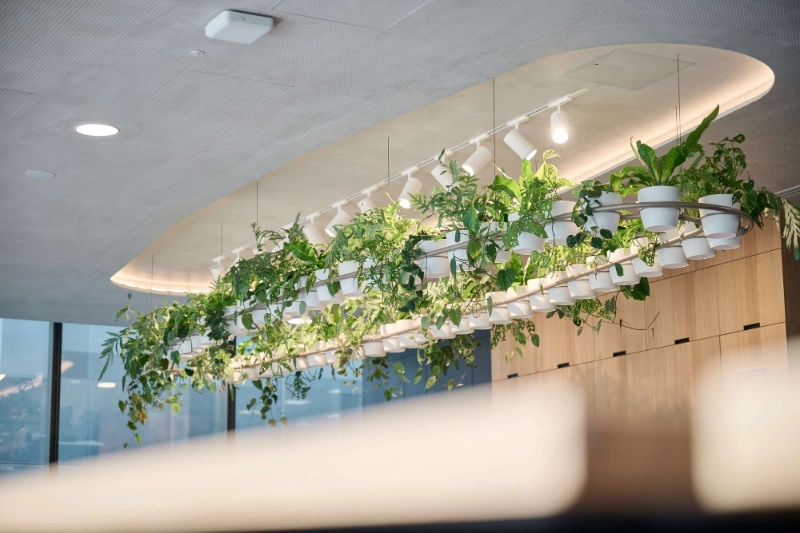 Suspended linear planting installation with white pots and trailing plants at KPMG