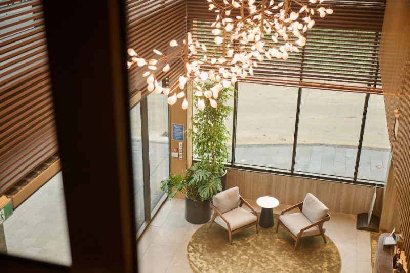 Lobby lounge chairs, ficus tree and branch chandelier at Maxim Hotel