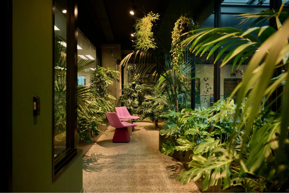 Pathway through dense palms, Monstera and hanging plants to magenta seating at MC