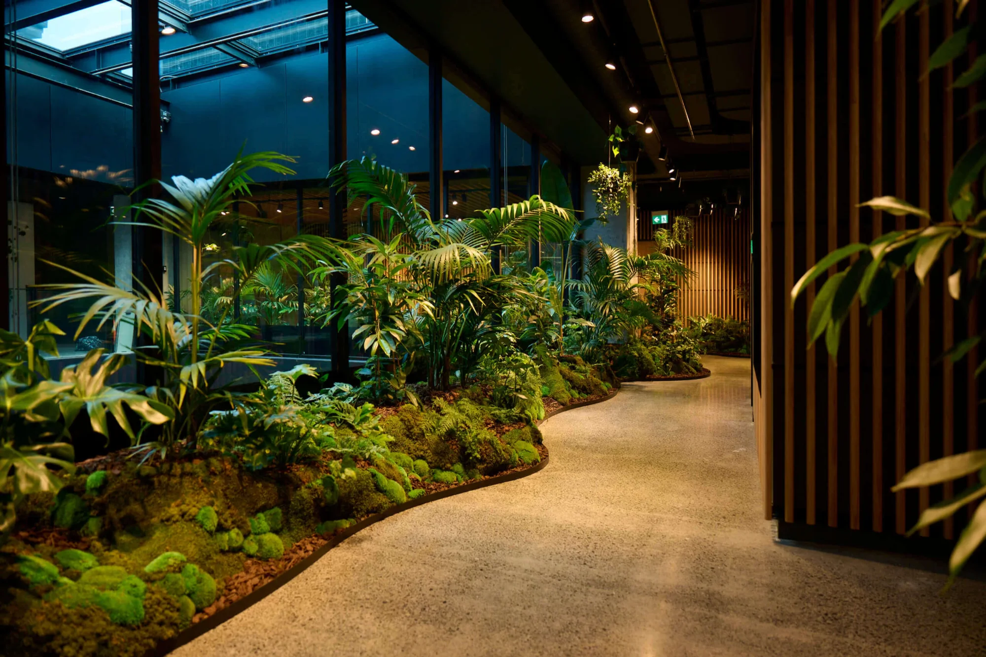 Winding Forest Floor planting of palms, ferns and moss beside a walkway at MC