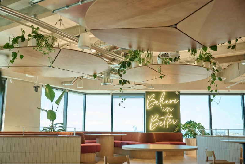 Hanging plants and plywood ceiling baffles over the Oceania lounge with harbour views