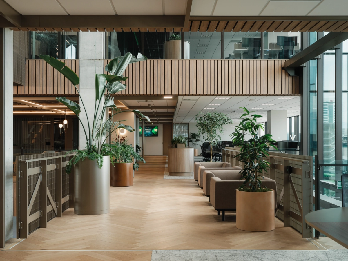 Bird of paradise and fiddle-leaf fig in planters along a herringbone walkway at One NZ