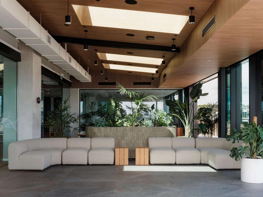 Planted breakout lounge with cream modular sofas and large windows at One NZ