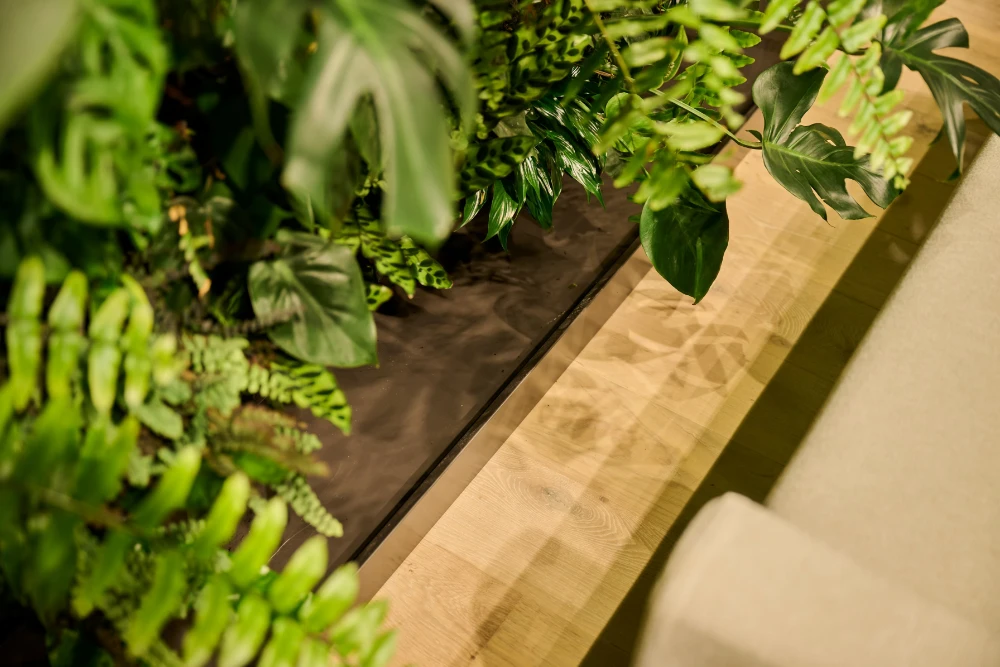 Close detail of the Orewa Sands living wall meeting the timber ledge below