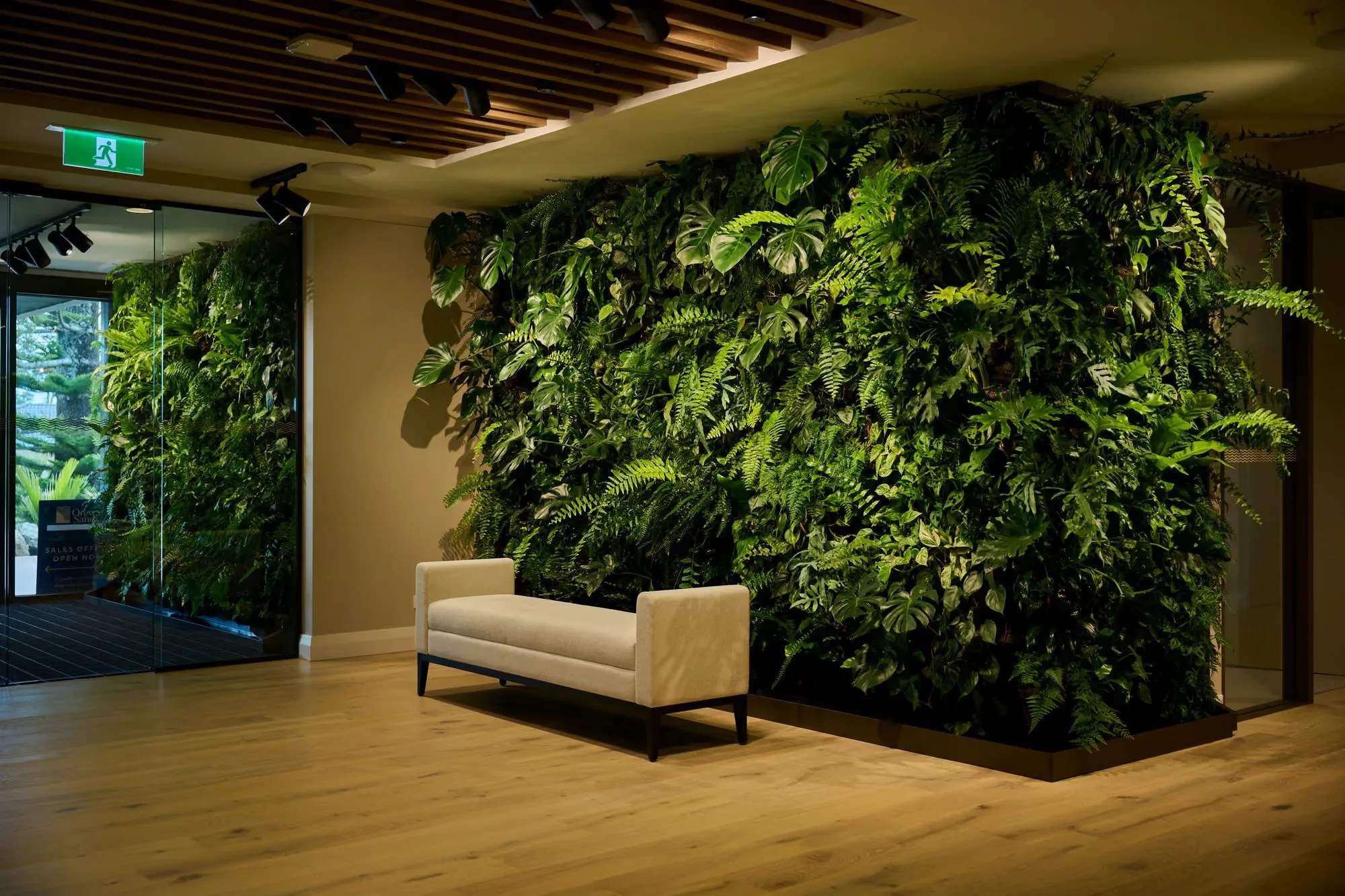 Floor-to-ceiling living wall of Monstera, ferns and pothos beside a cream bench at Orewa Sands