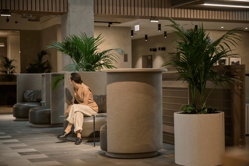 Kentia palms in tall planters beside pod seating in the Mott MacDonald lounge