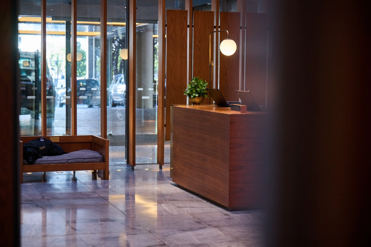 Timber reception desk with a small potted plant beneath a globe pendant at Park Hyatt Auckland