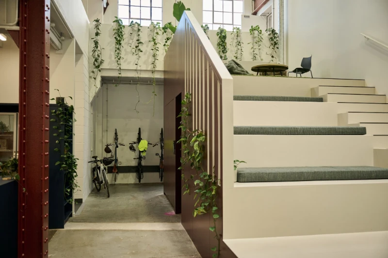 Pothos trailing from a mezzanine above tiered stair seating in the Partly office