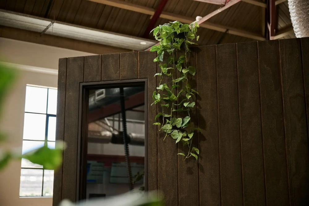 Pothos trailing down the side of a dark timber meeting pod at Partly