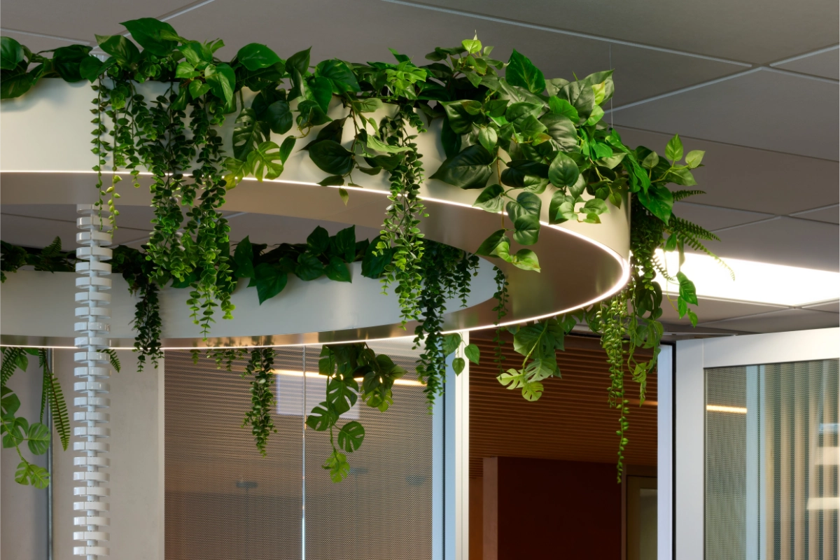 Pothos and ferns trailing from a lit overhead ring planter at SecuritEase