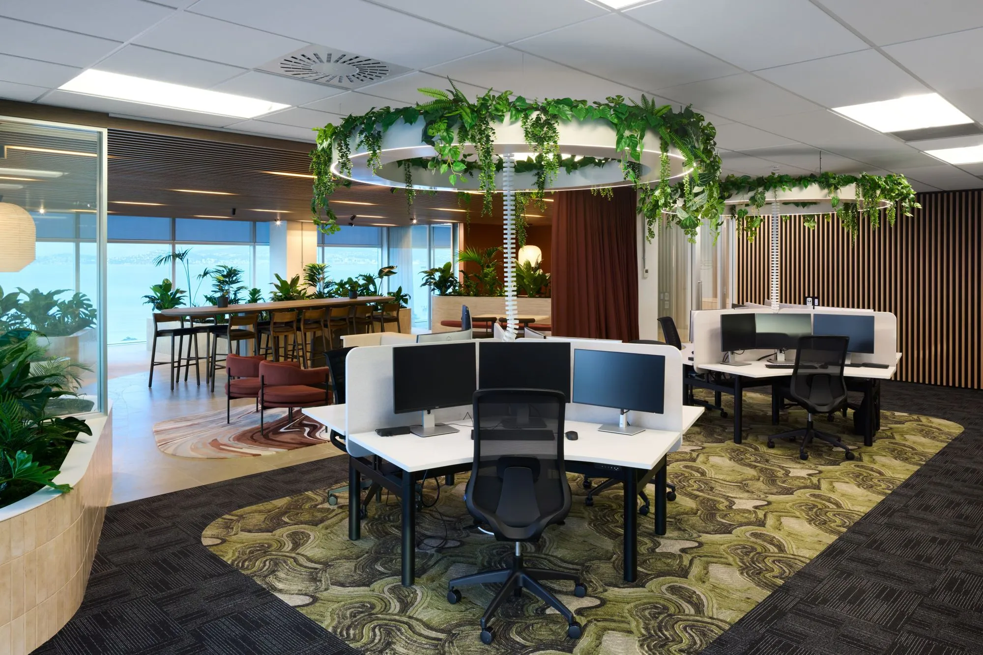 Ring planter of trailing greenery suspended above open-plan desks at SecuritEase