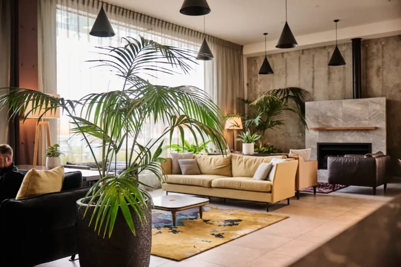 Kentia palm beside mustard sofas and a fireplace in the Sudima Auckland City lounge