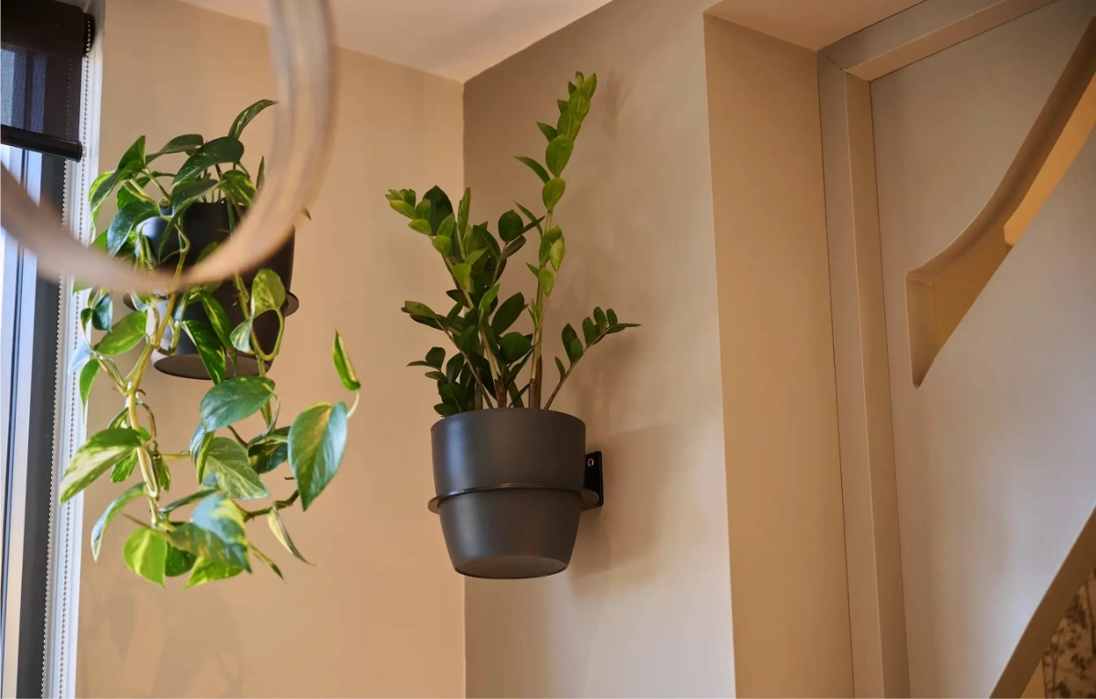 Wall-mounted pothos and ZZ plant planters beside the staircase at Sudima Auckland Airport