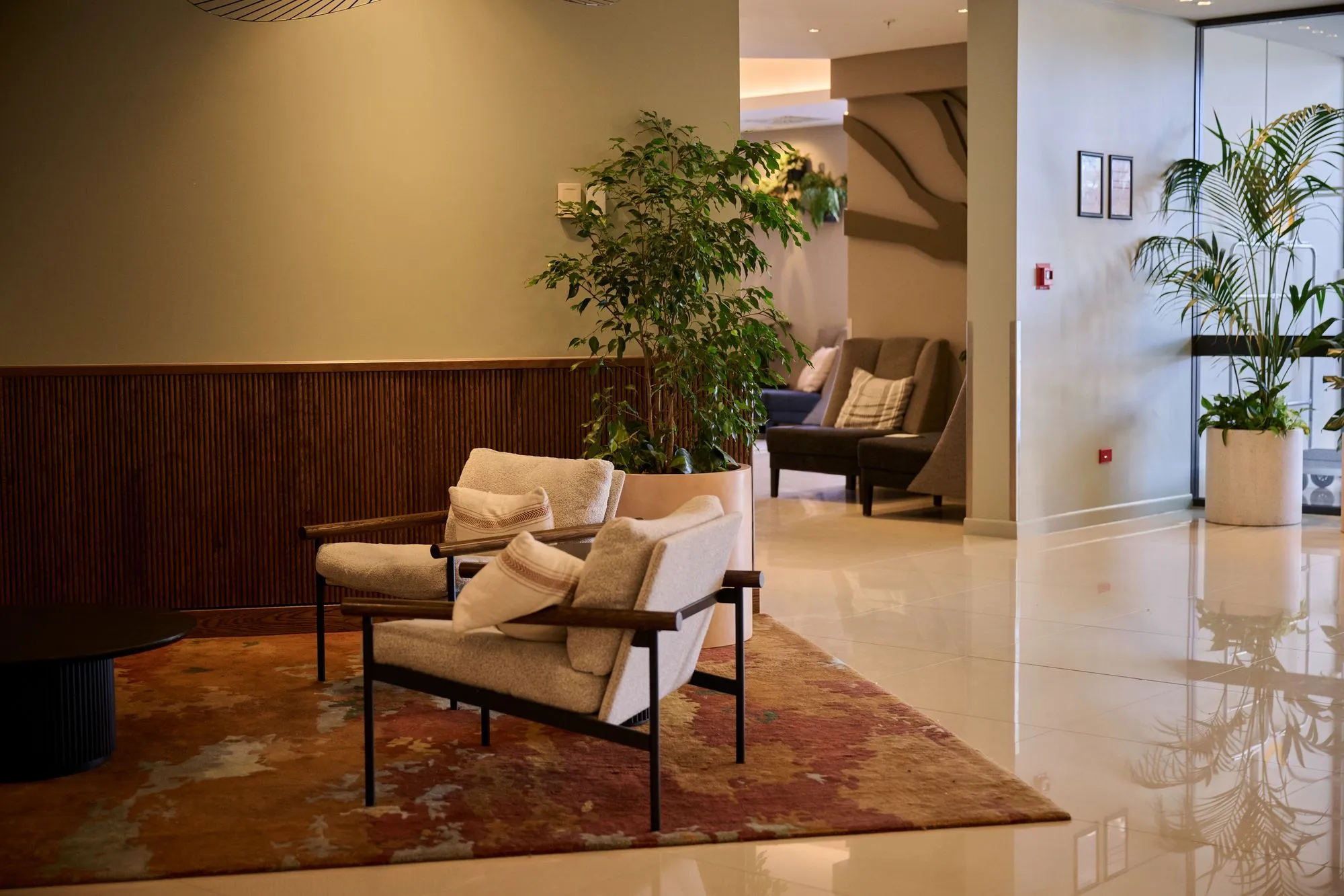 At Sudima Auckland Airport, bespoke greenery elevates the guest experience and supports the hotel's occupancy goals.