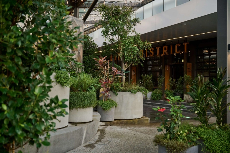 Concrete planters of tropical foliage at the entrance to the Sylvia Park dining district